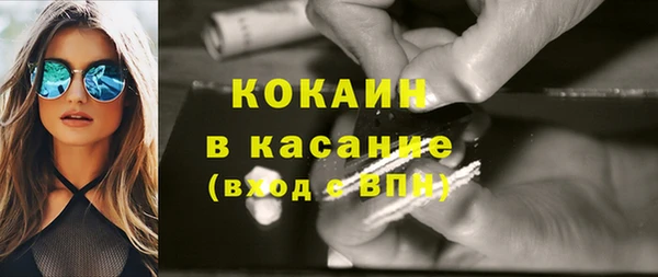 хмурый Алексин