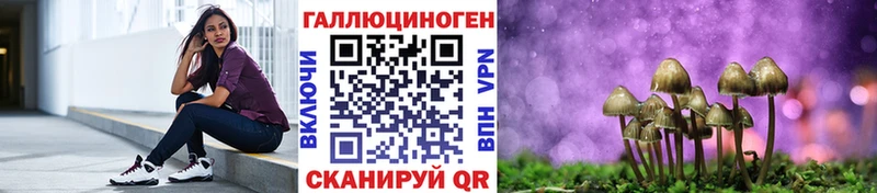 МЕГА вход  Москва  Псилоцибиновые грибы Psilocybe 